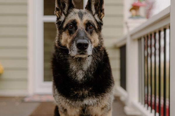 Kearney {knapp builders}